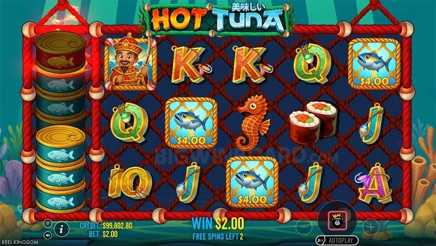 8k8o Craps Betting Explained
